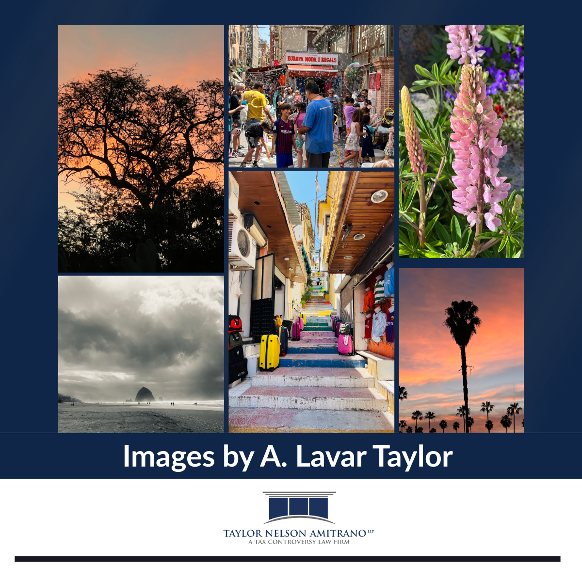 A. Lavar Taylor’s Photography Selected for Exhibition at the 2026 OC Fair