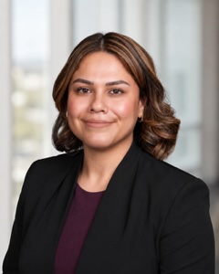 Carmen Isabella Vera - Attorney at Taylor Nelson Amitrano LLP